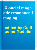 X-nuclei magnetic resonance imaging